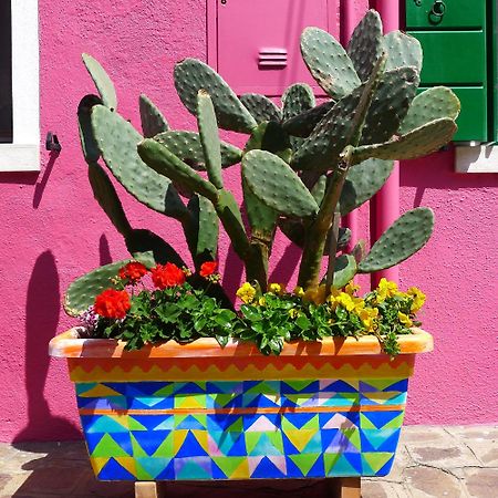 Night Galleria Holiday Home - Bed & Art In Burano - The Pink House Exterior photo
